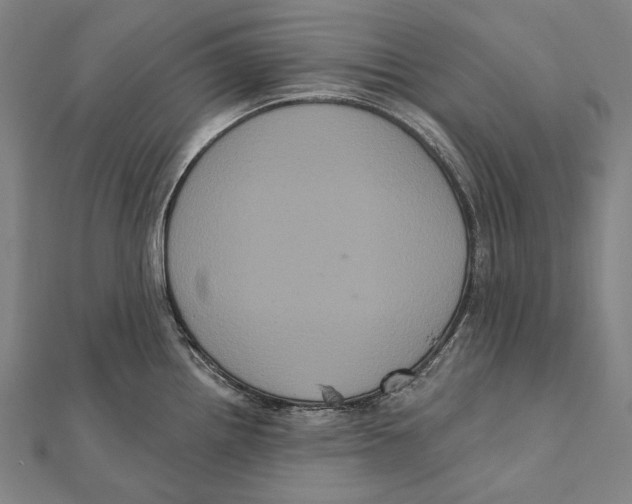 X0000112001242200908311107