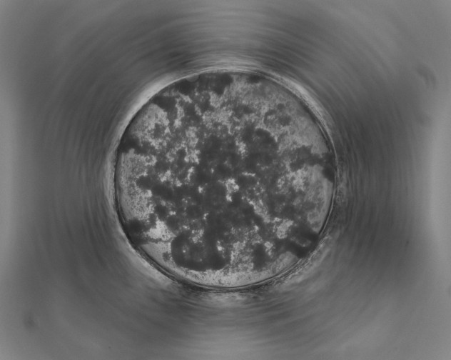 X0000112001243200908311107