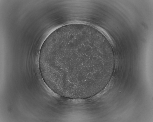 X0000112001244200908311108