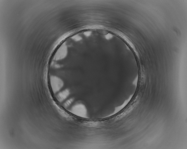 X0000112001245200908311108