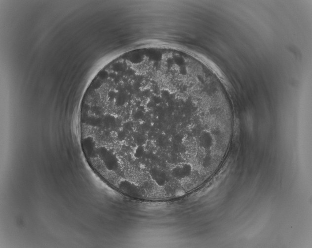 X0000112001247200908311108