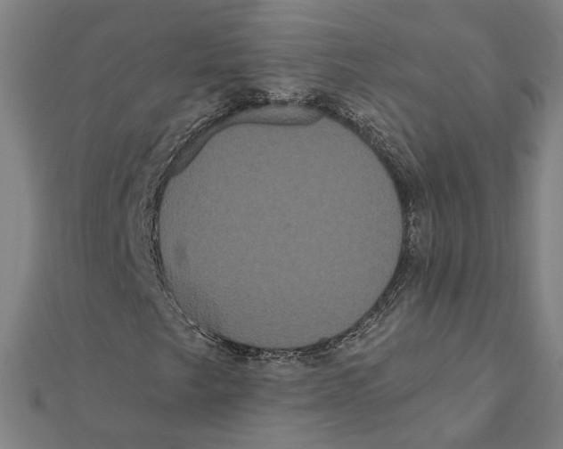 X0000112001249200908311107