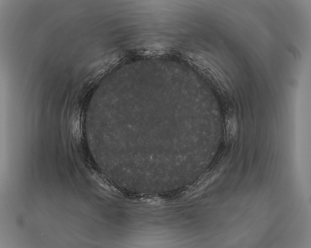 X0000112001250200908311107