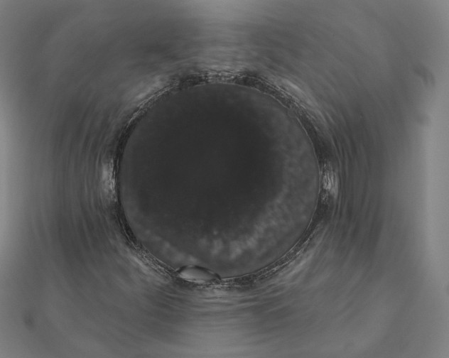 X0000112001252200908311107