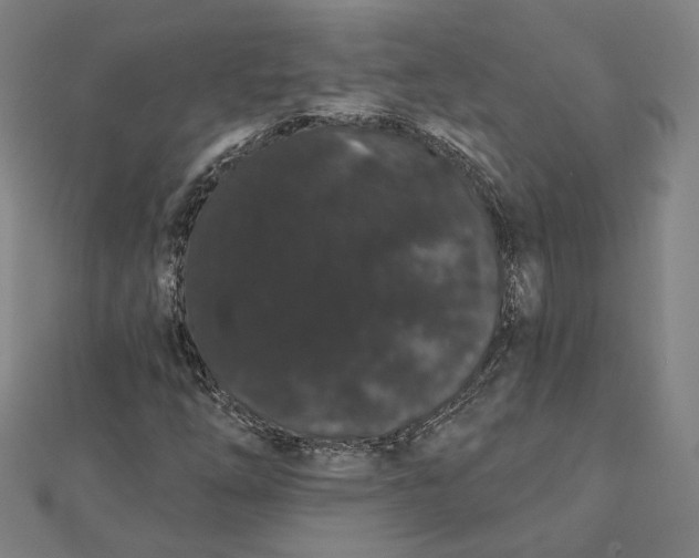 X0000112001254200908311107