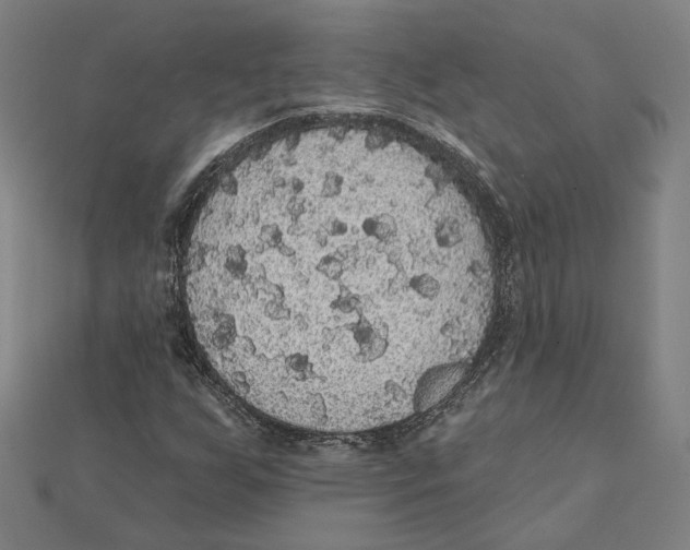 X0000112001255200908311107