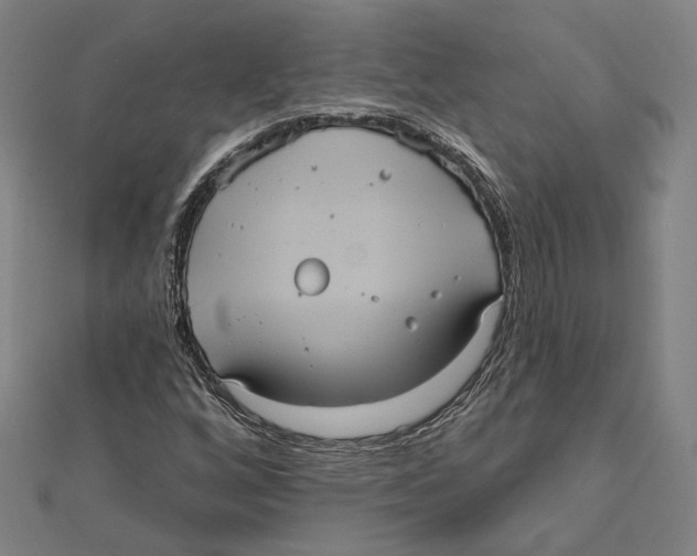 X0000112001256200908311107