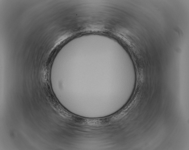 X0000112001258200908311107