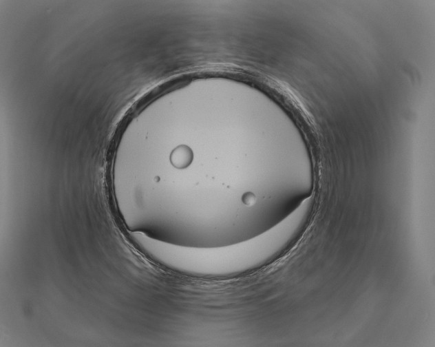 X0000112001260200908311107