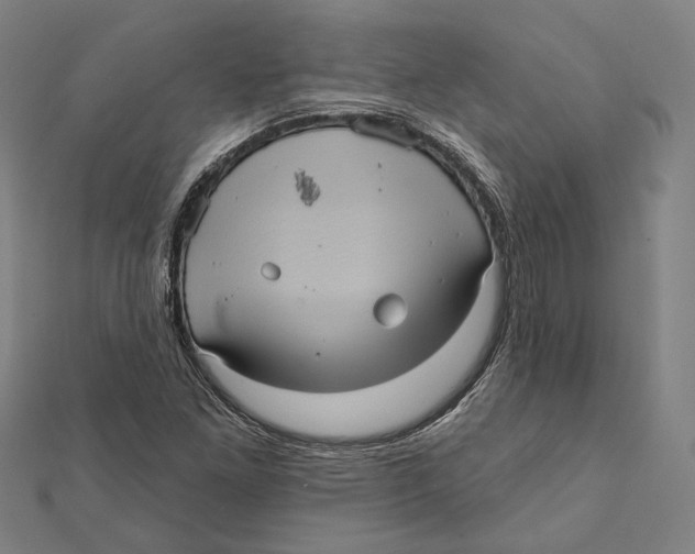 X0000112001261200908311107