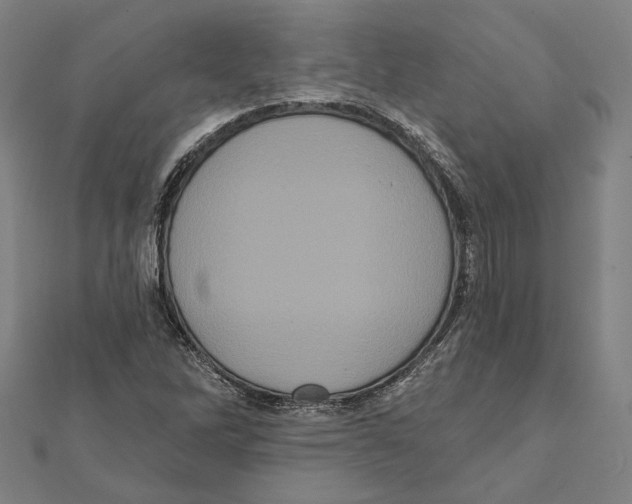 X0000112001262200908311107