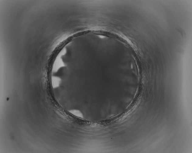 X0000112001263200908311107