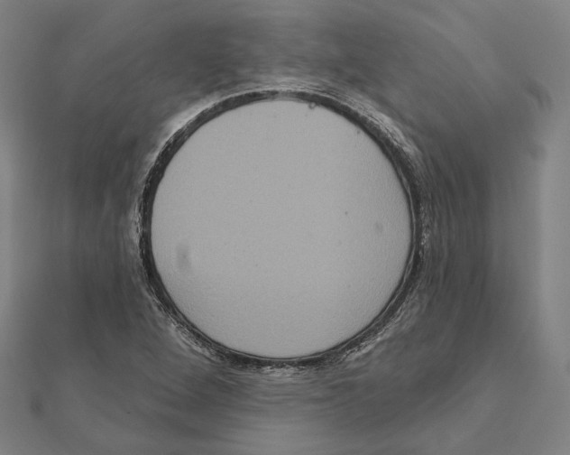 X0000112001264200908311107