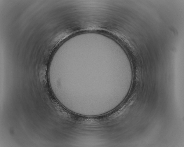 X0000112001265200908311107