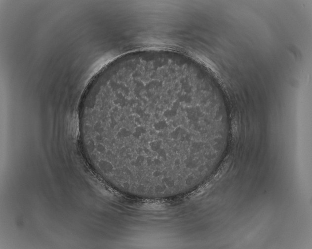 X0000112001267200908311107