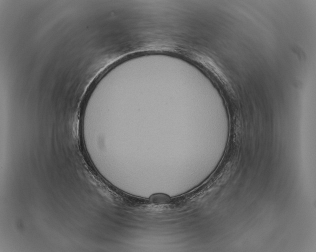 X0000112001268200908311107