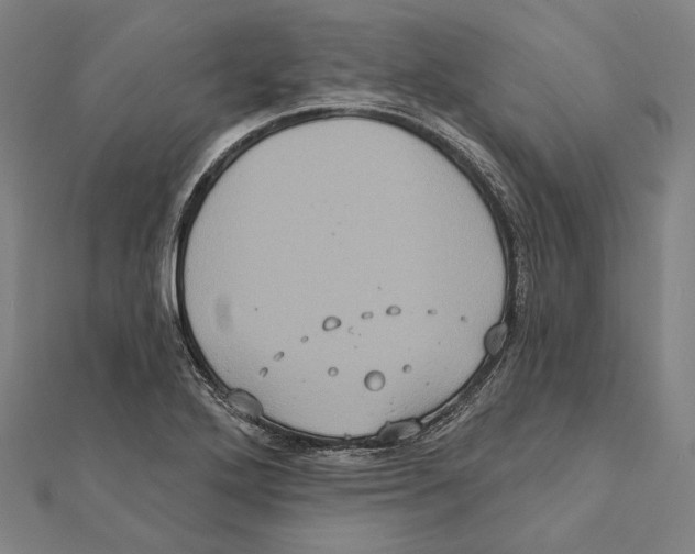 X0000112001272200908311107