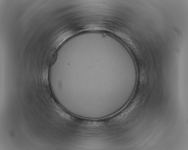 X0000112001273200908311107