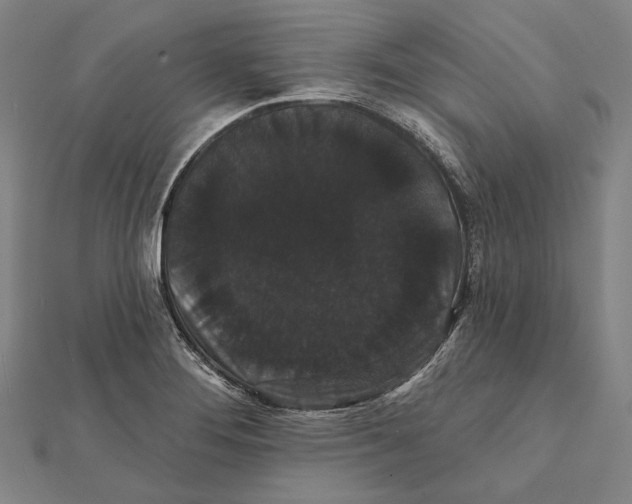 X0000112001276200908311107