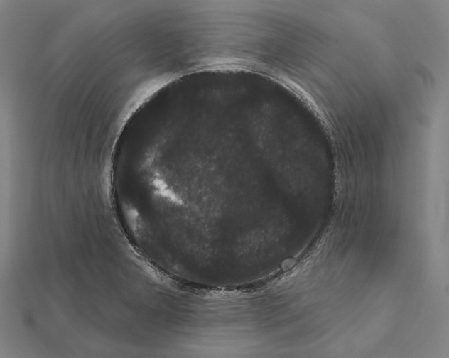 X0000112001277200908311107