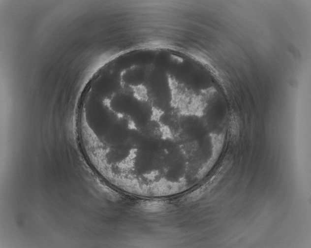 X0000112001278200908311107