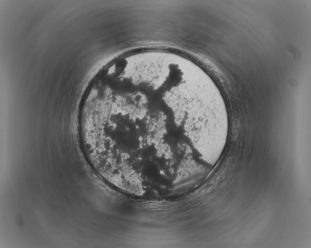 X0000112001279200908311107