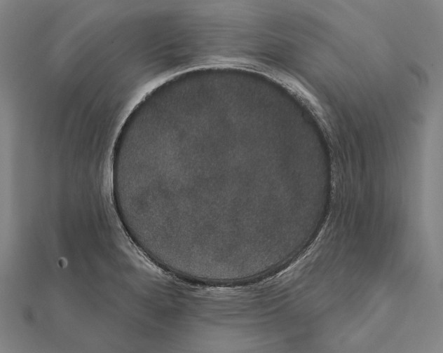 X0000112001280200908311107