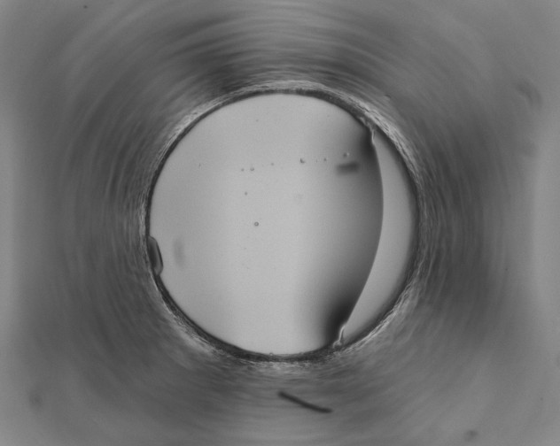 X0000112001281200908311107