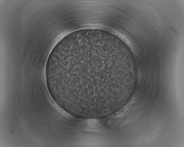 X0000112001283200908311106