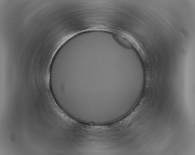 X0000112001284200908311106