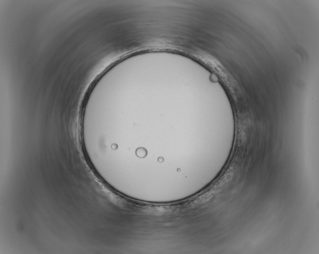 X0000112001286200908311106