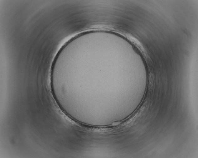 X0000112001288200908311106