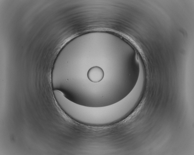 X0000112001289200908311106