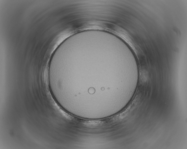 X0000112001290200908311106