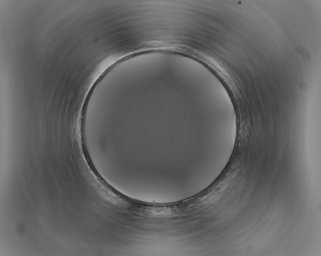 X0000112001291200908311106