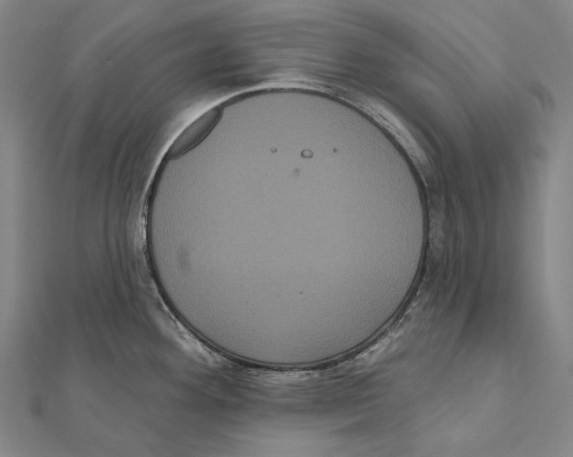 X0000112001292200908311106