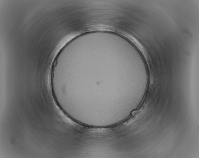 X0000112001293200908311106