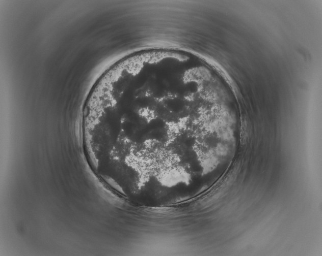 X0000112001295200908311106