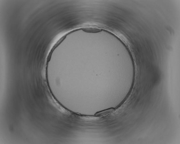 X0000112001296200908311106