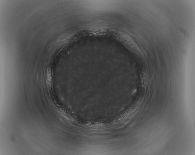 X0000112001298200908311106