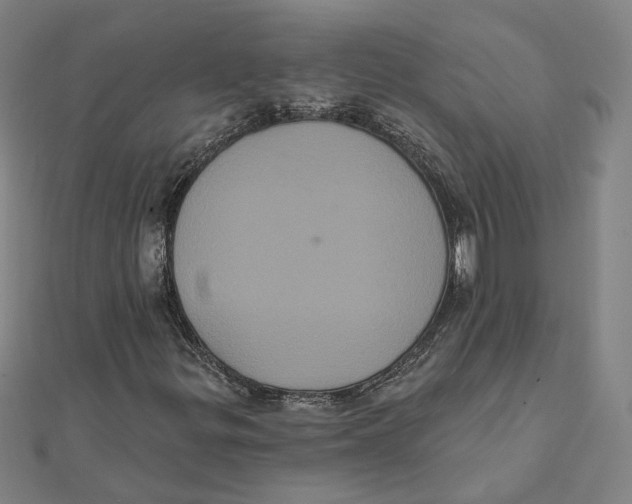 X0000112001299200908311106