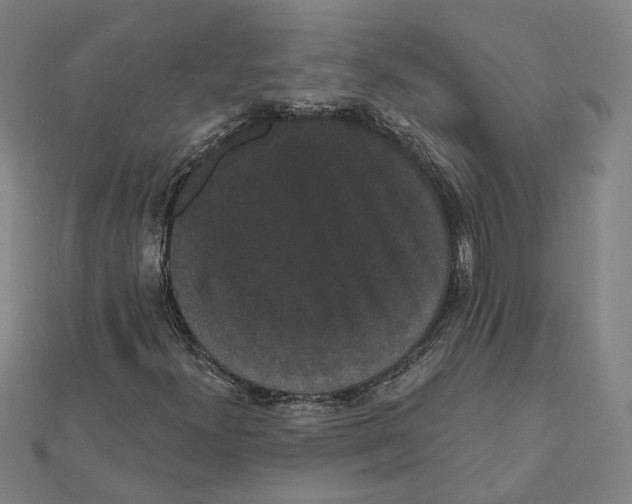 X0000112001300200908311106