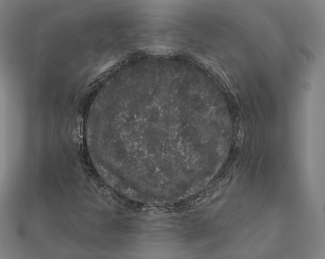 X0000112001301200908311106