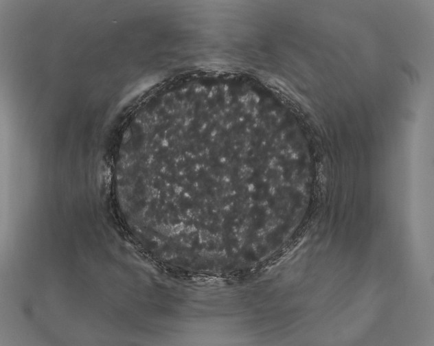 X0000112001302200908311106