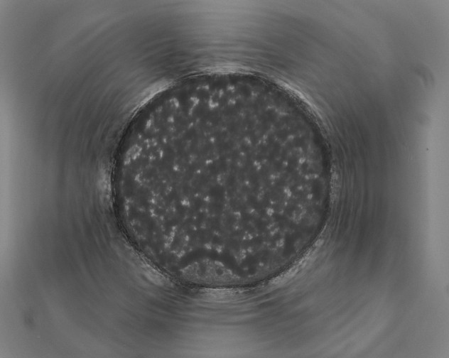 X0000112001305200908311106