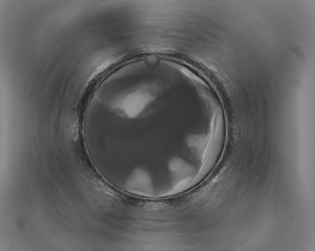 X0000112001306200908311106