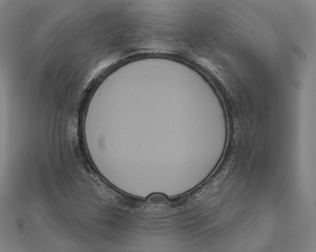 X0000112001307200908311106