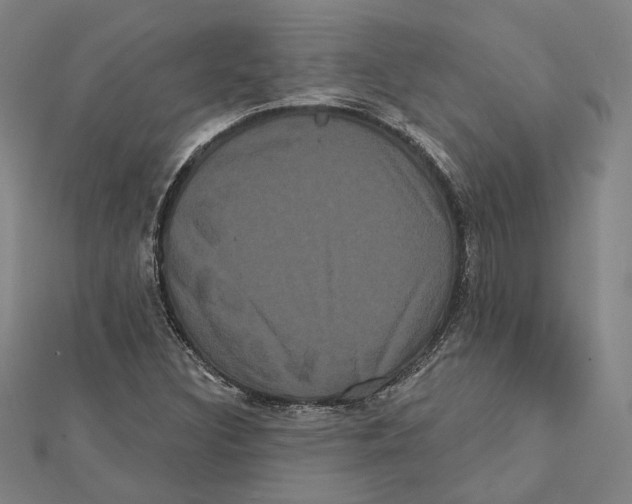 X0000112001308200908311106