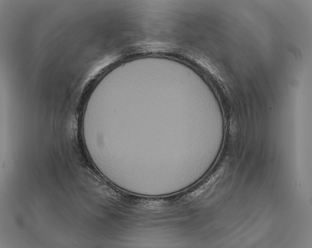 X0000112001309200908311106