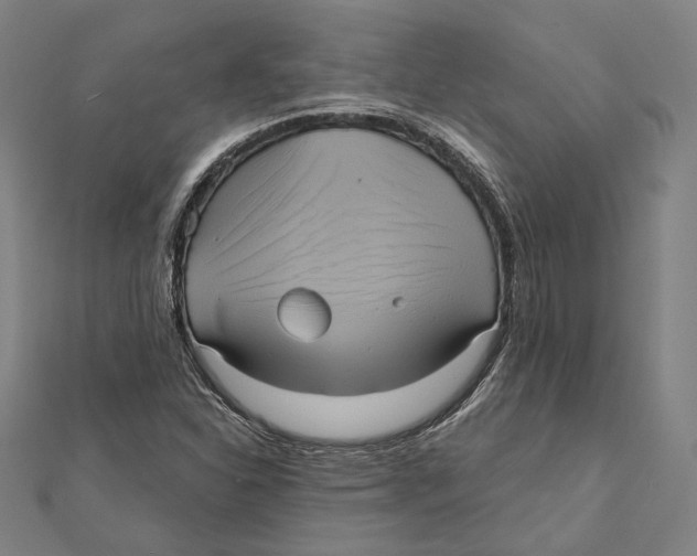 X0000112001310200908311106